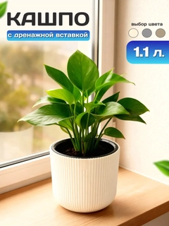 Кремовый