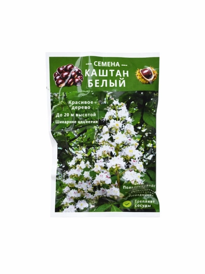 Белый Каштан – семена — НИХОЛЧИ-КАШТАН