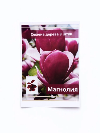 Семена Фотинии Давида — НИХОЛЧИ-ФОТИНИЯ