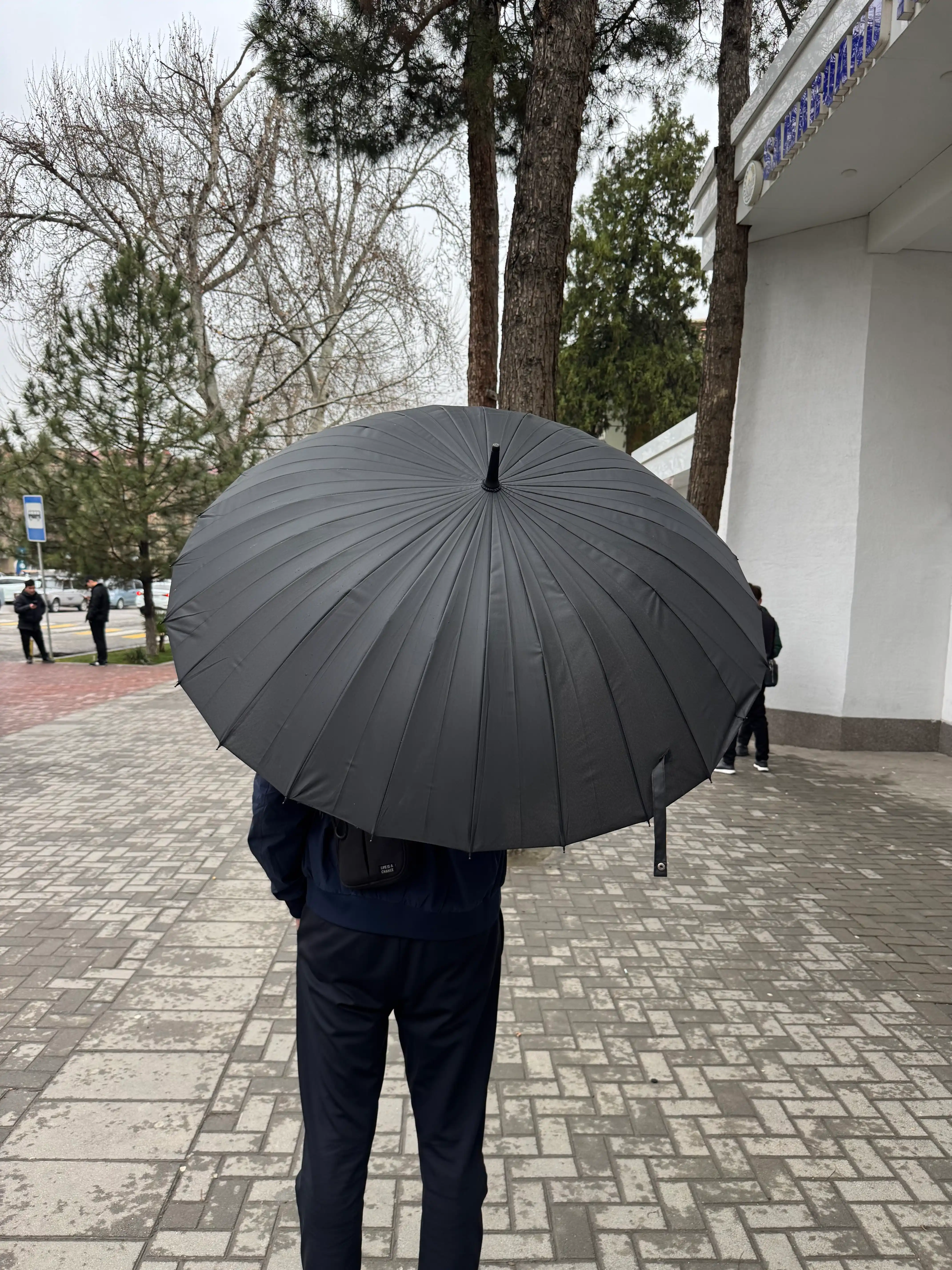 Зонт 24 спицы, трость большая, полуавтомат, для мужчин и женщин, унисекс,zontik