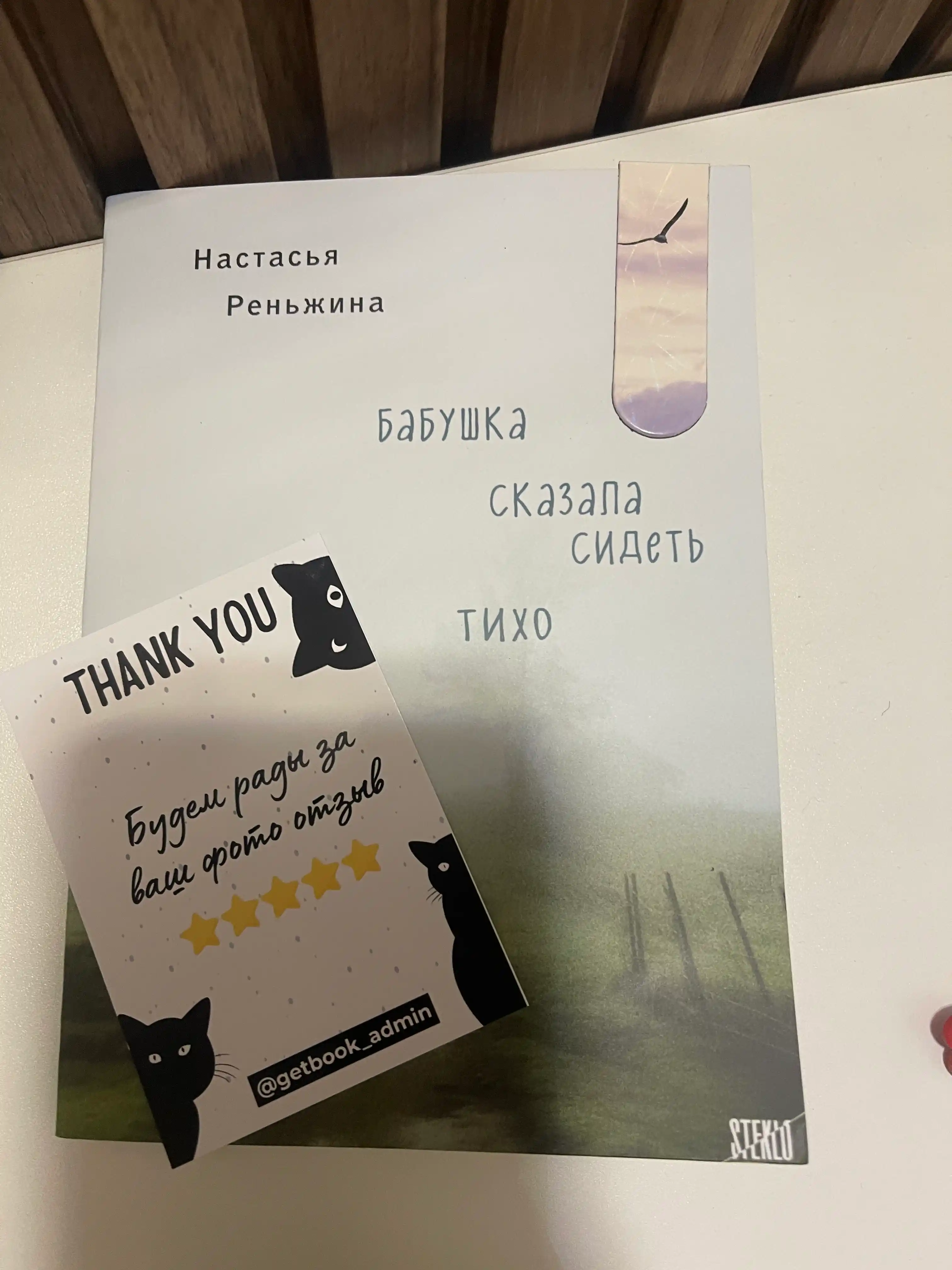 Babushka skazala sidet tikho, Renzhina Nastasya