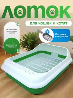 Салатовый