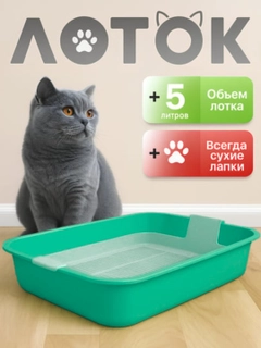 Бирюзовый
