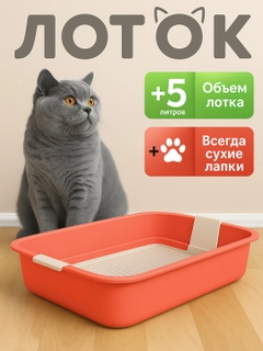 Коралловый