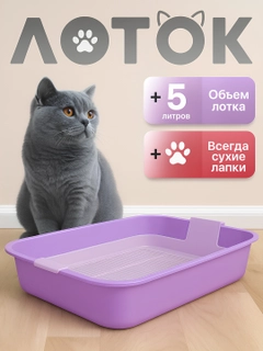 Лавандовый