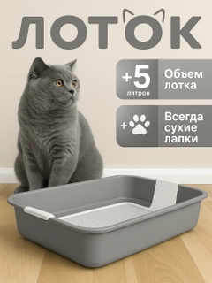 Серый