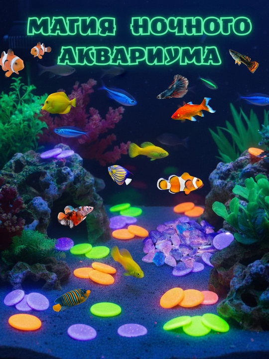 Декоративные камни. Галька для аквариума и цветов с флуоресцентной краской - 