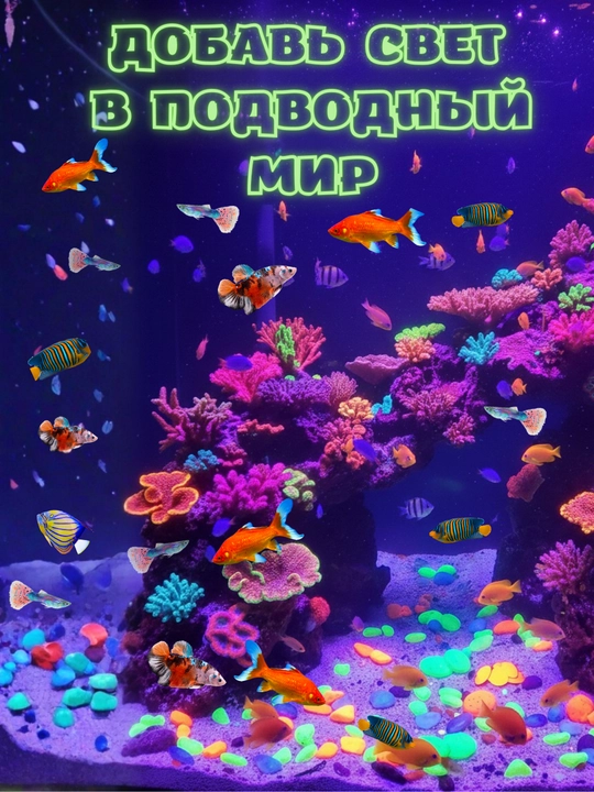 Galka tosh. Marvarid, Floresan bo'yoqli akvarium va gul uchun yassi dekorativ tosh