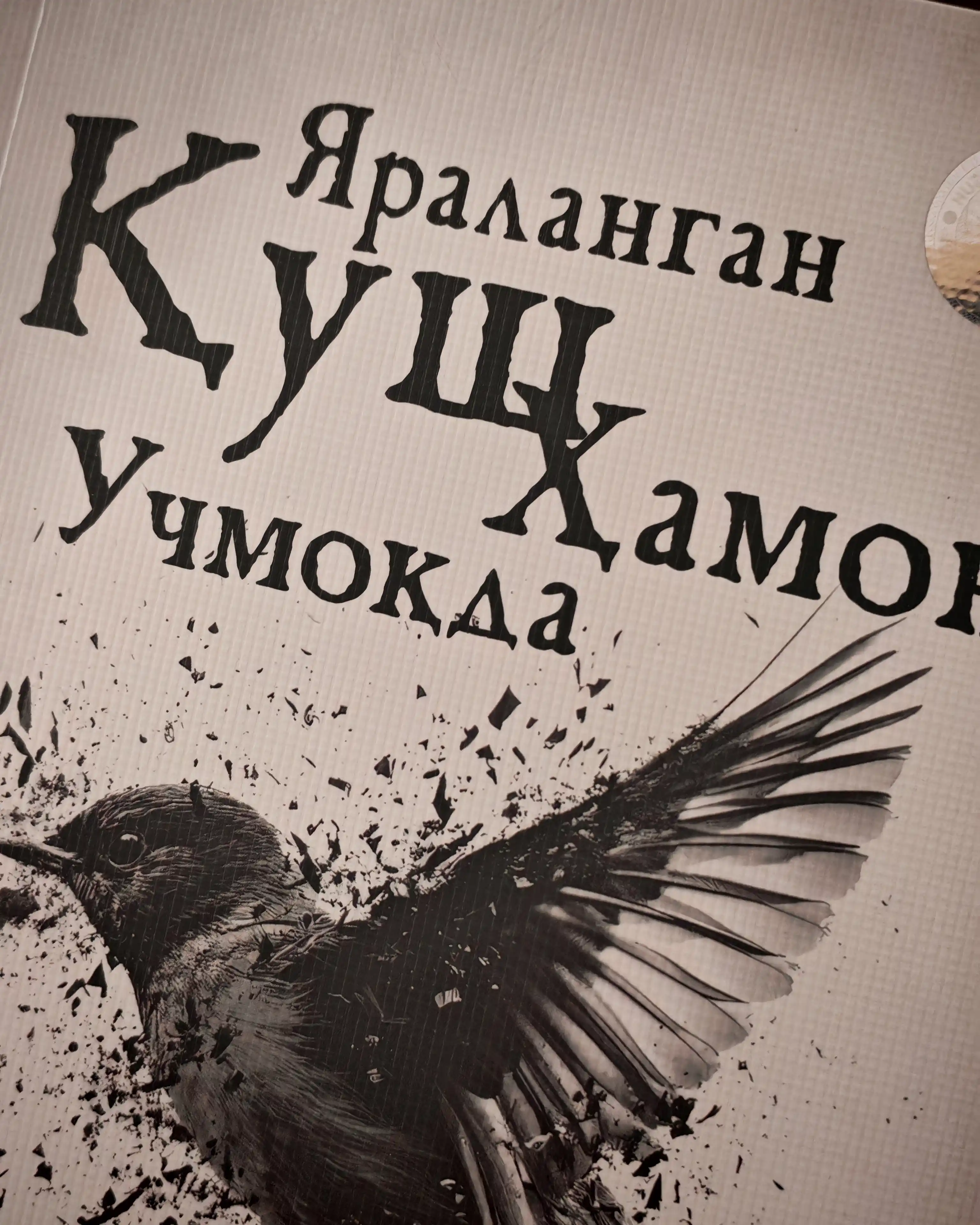Yaralangan qush hamon uchmoqda, Sinan Akyuz