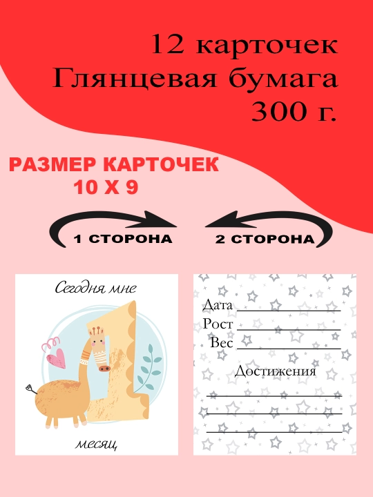 Oylar bo’yicha yangi tug’ilgan chaqaloqlarni fotosessiya qilish uchun kartochkalar