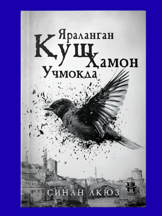Yaralangan qush hamon uchmoqda, Sinan Akyuz - 