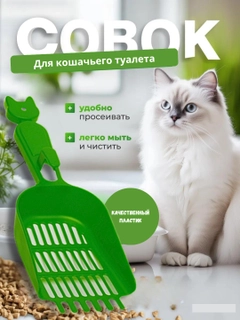 Лайм