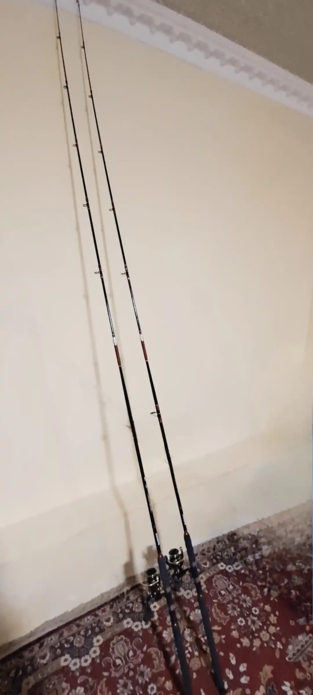 Спиннинг Shimano штекерный