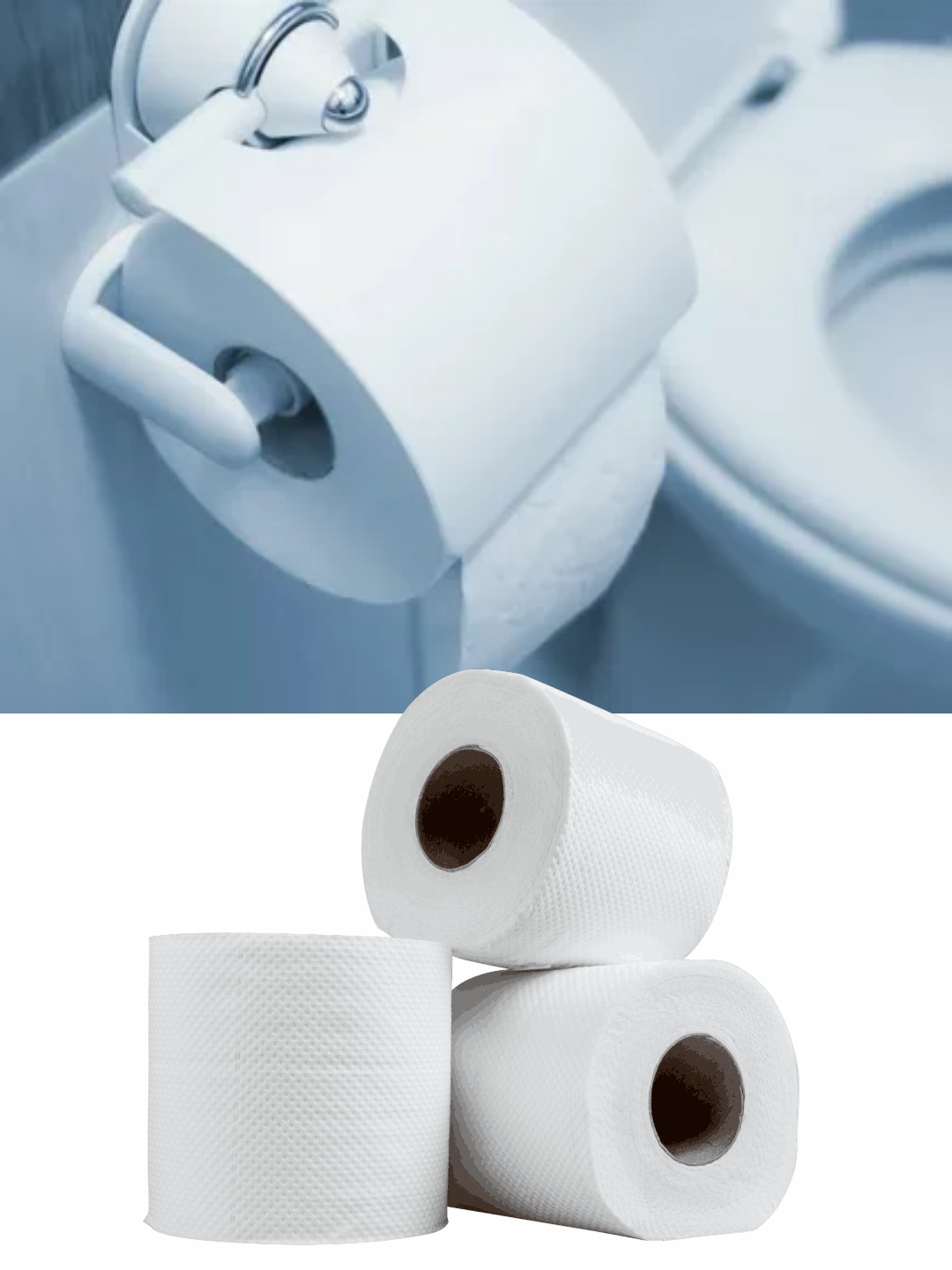 2 qatlamli tualet qog‘ozi, 100% sellyuloza