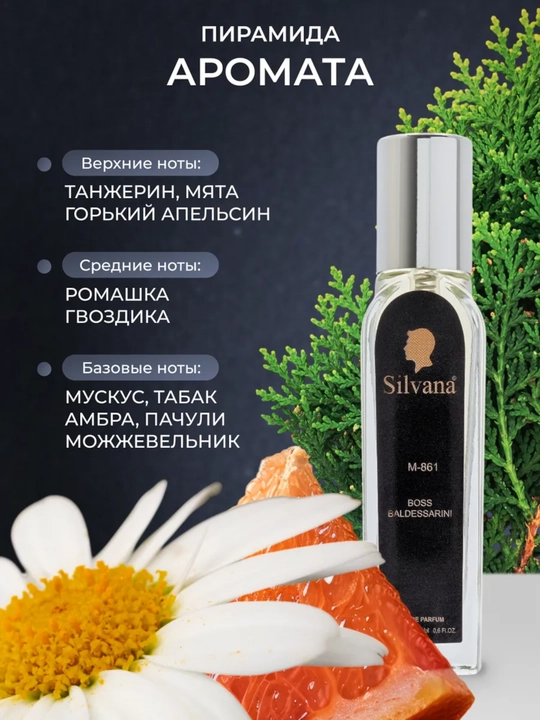 Parfyumlangan suv Ambre Baldessarini, Silvana №M861, 18 ml