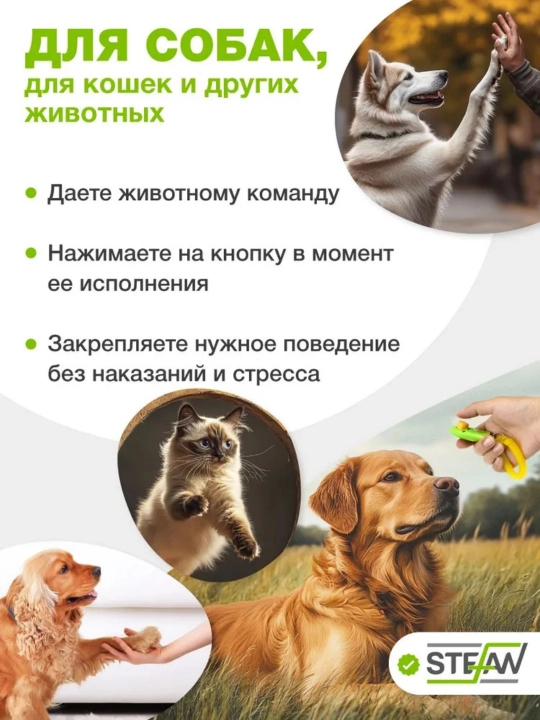 Кликер для дрессировки собак на браслете зеленый aesthetics (эстетика)