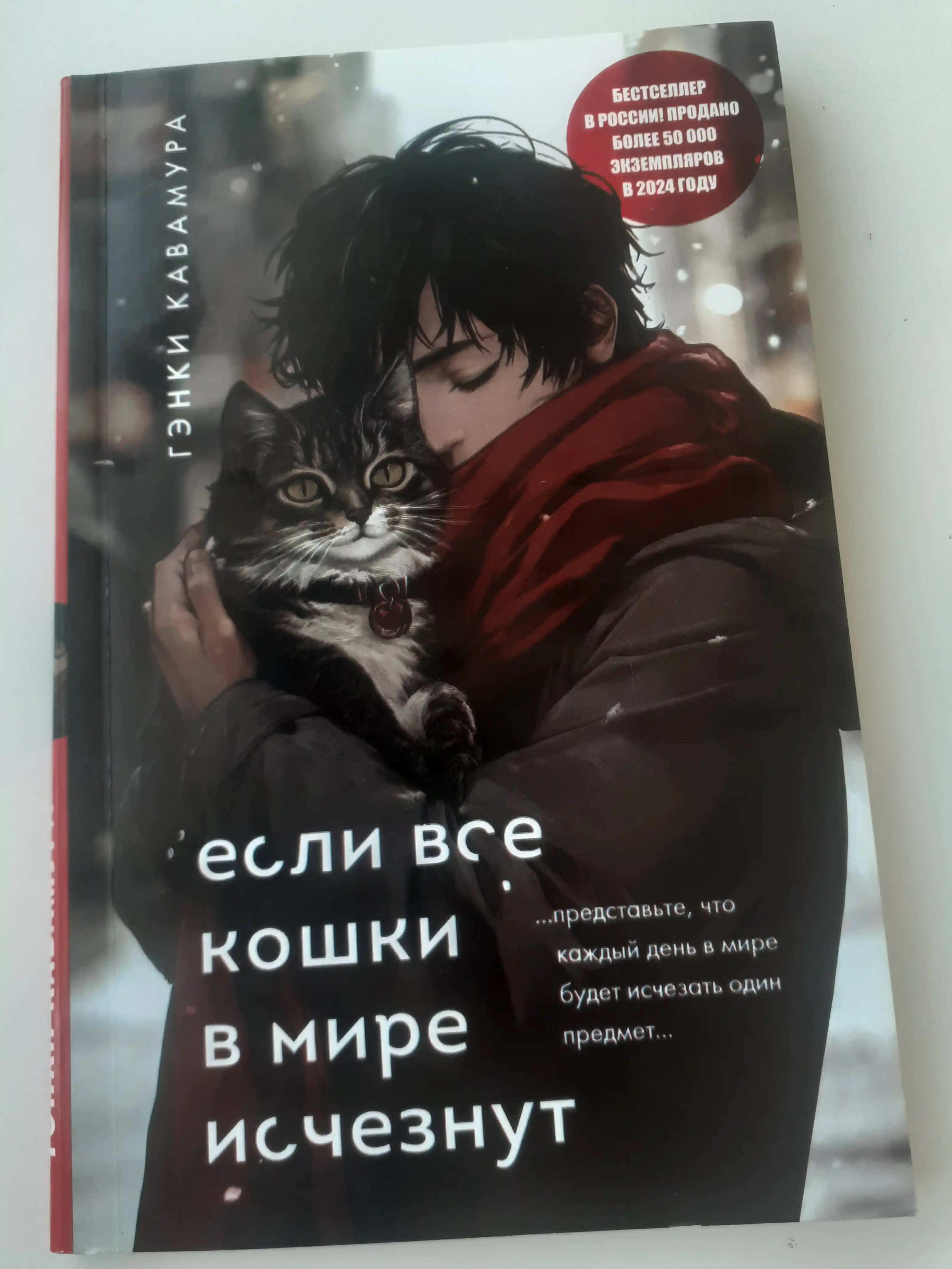 Yesli vse koshki v mire ischeznut, Genki Kavamura