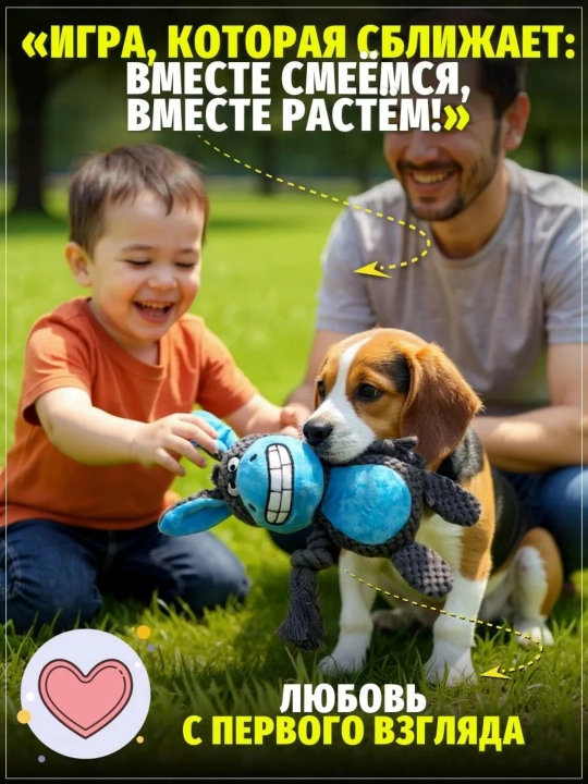 Uy hayvonlari it o'yinchoqlari, jumboq dekompressiya o'yinchoqlari
