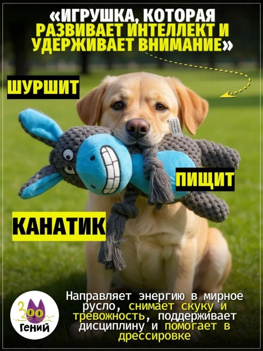Uy hayvonlari it o'yinchoqlari, jumboq dekompressiya o'yinchoqlari