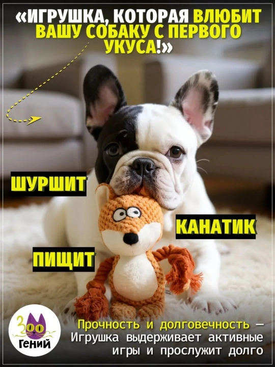 Uy hayvonlari it o'yinchoqlari, jumboq dekompressiya o'yinchoqlari