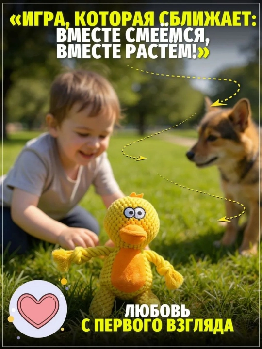 Uy hayvonlari it o'yinchoqlari, jumboq dekompressiya o'yinchoqlari