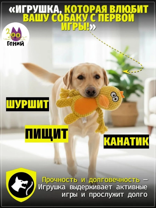 Uy hayvonlari it o'yinchoqlari, jumboq dekompressiya o'yinchoqlari