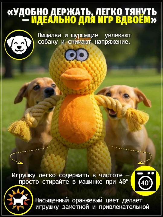 Uy hayvonlari it o'yinchoqlari, jumboq dekompressiya o'yinchoqlari