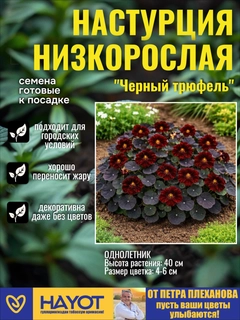 Черный