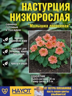 Пудровый