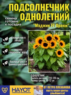 Желтый