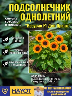 Оранжевый