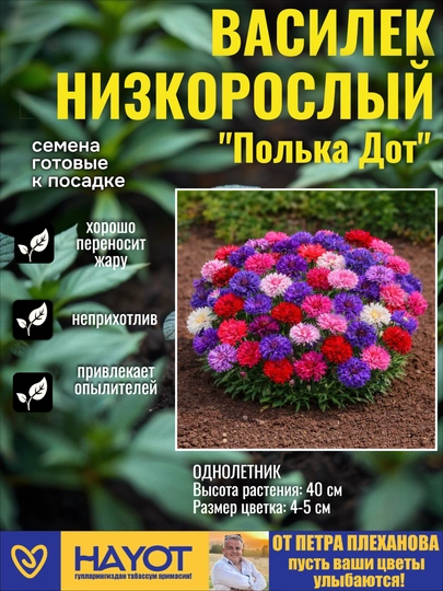 Семена васильков от Петра Плеханова: Полька Дот, Фрости, Императорская, Смесь — TPP-ВАСИЛЁК-КРАСН