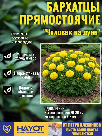 Семена бархатцев от Петра Плеханова: Прямостоячие, Отклоненные, Махровые, Мариэтта — TPP-БАРХАТЦЫ-ЖЕЛТ