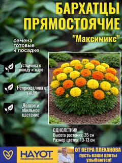 Оранжевый