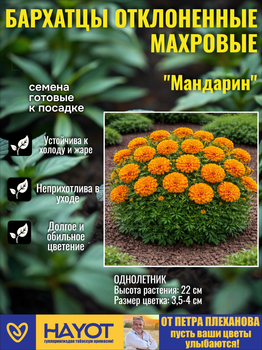 Семена бархатцев от Петра Плеханова: Прямостоячие, Отклоненные, Махровые, Мариэтта - 