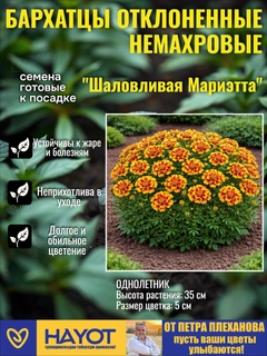 Светло-оранжевый