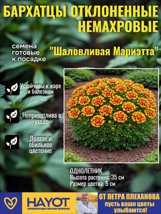 Семена бархатцев от Петра Плеханова: Прямостоячие, Отклоненные, Махровые, Мариэтта - 