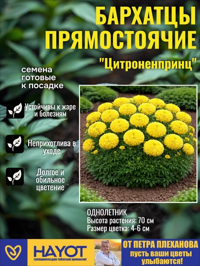Семена бархатцев от Петра Плеханова: Прямостоячие, Отклоненные, Махровые, Мариэтта — TPP-БАРХАТЦЫ-КОРАЛЛМЕЛ