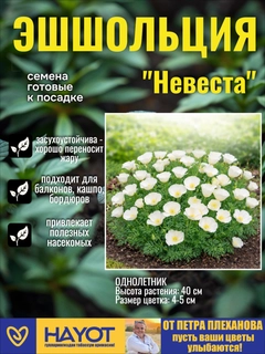 Белый