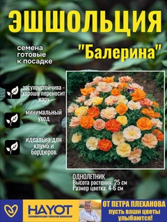 Оранжевый