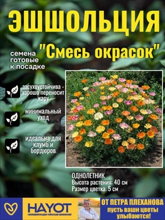 Разноцветный