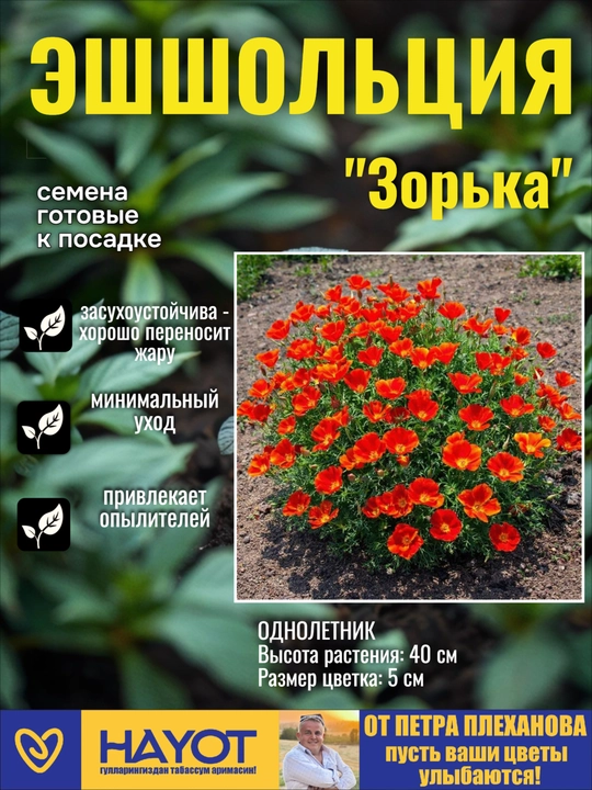 Семена эшшольции от Петра Плеханова: Махровая Балерина,Невеста белая,Зорька, Смесь окрасок - 