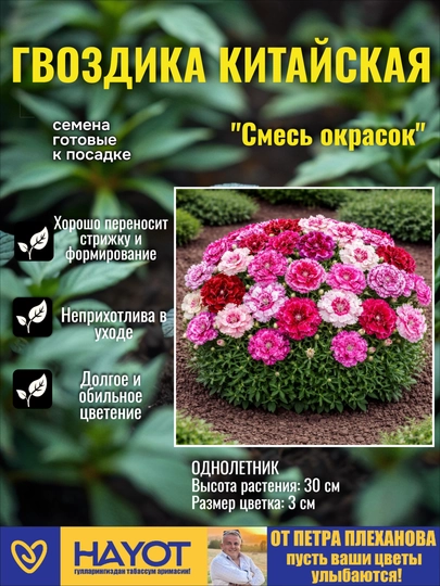 Семена гвоздики от Петра Плеханова: Турецкая, Китайская, Пиноккио, Алая красавица, Белая — TPP-ГВОЗДИКА-РОЗОВ