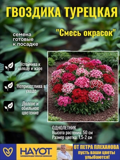 Тёмно-розовый