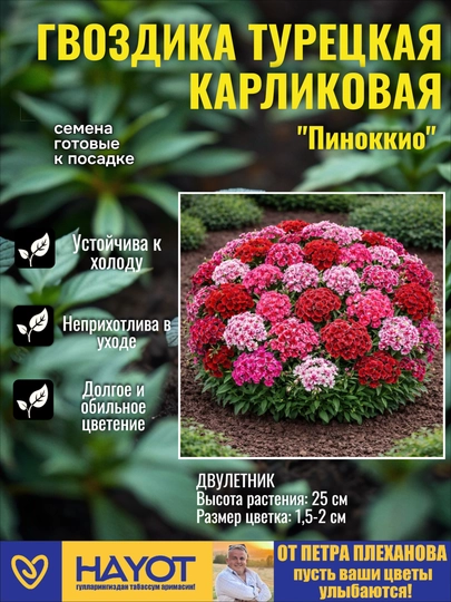 Семена гвоздики от Петра Плеханова: Турецкая, Китайская, Пиноккио, Алая красавица, Белая — TPP-ГВОЗДИКА-ФУКСИЯ