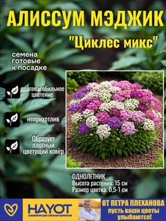 Сиреневый