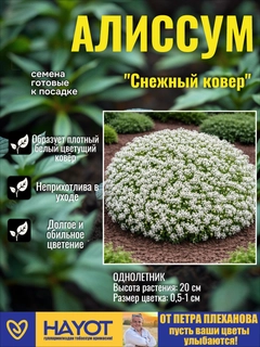 Белый