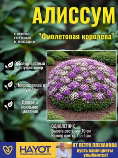 Фиолетовый