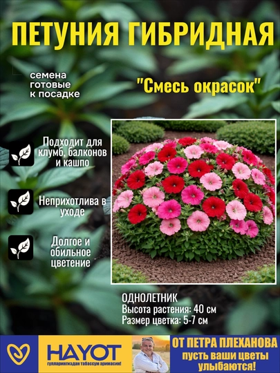 Семена цветов от Петра Плеханова: Цинния, Петуния, Портулак, Нигелла, Гомфрена, Целозия — TPP-ОДНОЛЕТНИЕСЕМЕНА-РОЗОВ