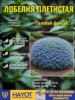 Голубой